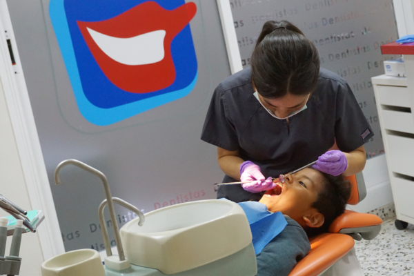 asodent2000-g1 asodent2000-g1