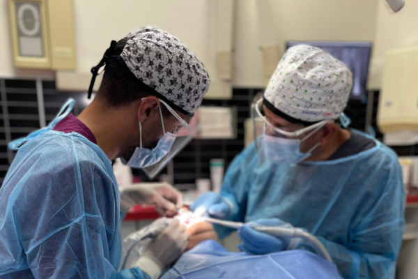 WhatsApp Image 2024-09-30 at 13.58.32 WhatsApp Image 2024-09-30 at 13.58.32